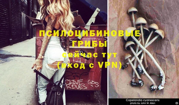 спайс Балабаново