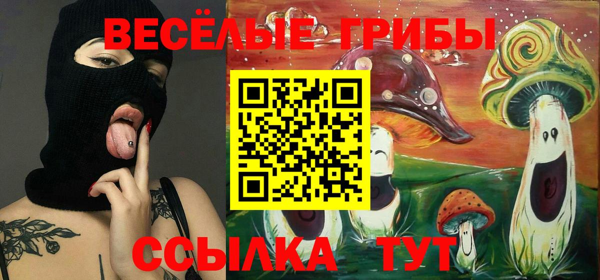 Псилоцибиновые грибы GOLDEN TEACHER  Галлюциногенные грибы мицелий  Вход с VPN  Новый Уренгой 